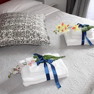 https://la-suite-bb-appartments.emilia-romagnahotels.net